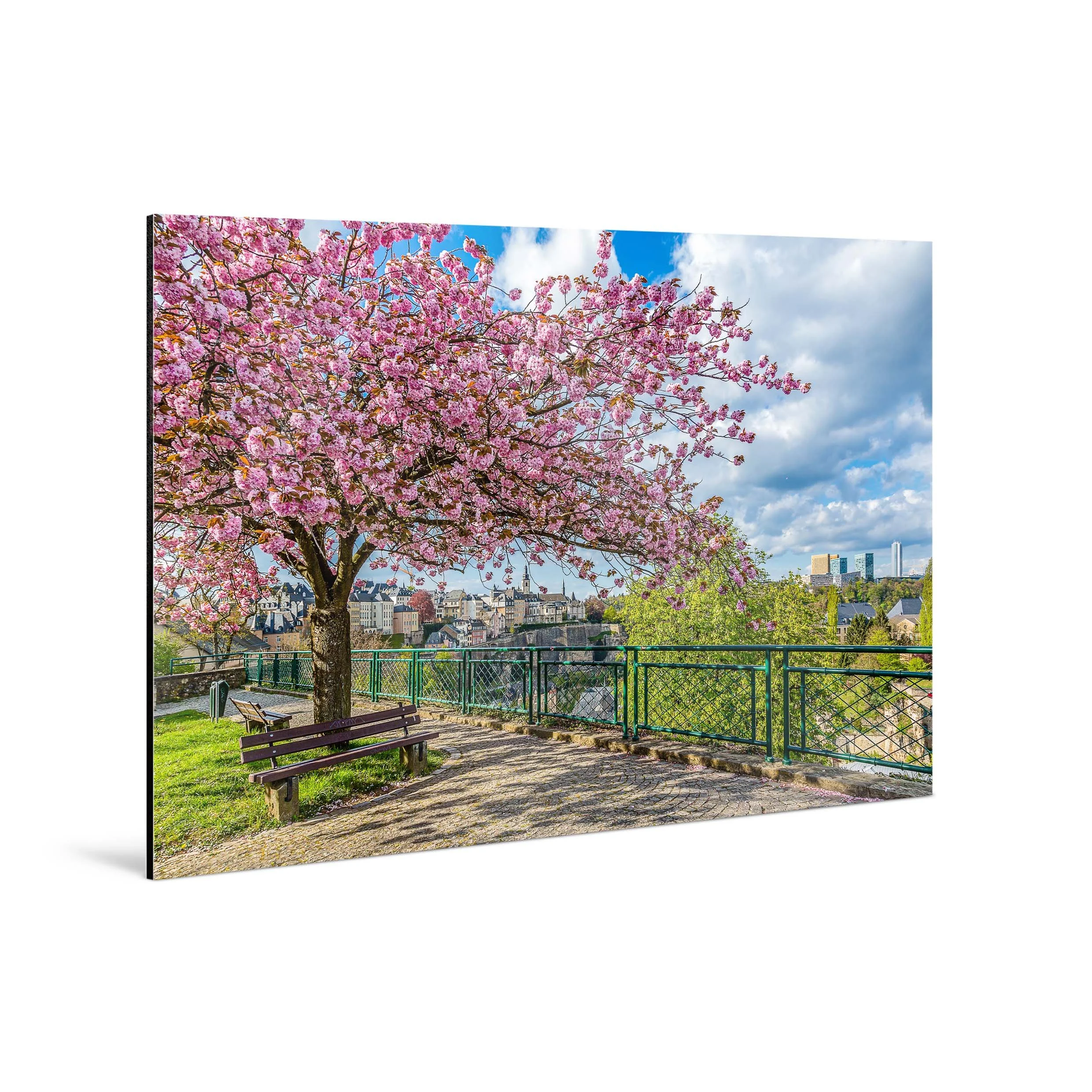 Cherry on Top | Limited Edition Photograph | Christophe Van Biesen